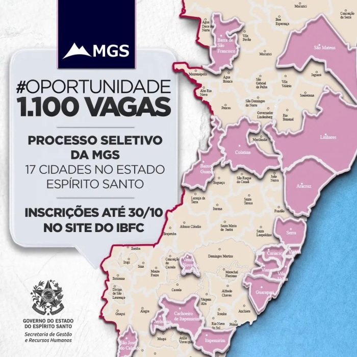 processo seletivo